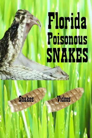 Florida Poisonous Snakes screenshot 2