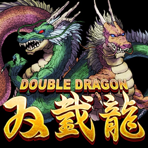 DoubleDragon Review