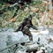 Bigfoot Camera Prank