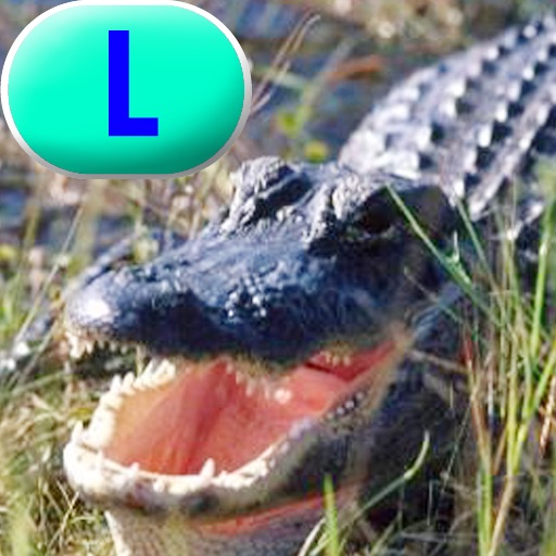 Crocs and Gators – LAZ Reader [Level L–second grade] icon