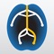 Designed by a team of neurologists at the University of Michigan, Neuro Localizer is a free application for medical professionals – or for anyone who wants to know more about how the nervous system works - interested in exploring the basics of neurologic localization