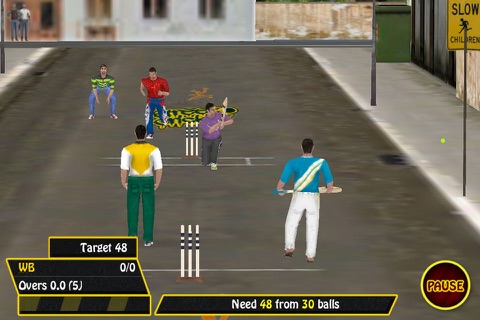 Street Cricket Free screenshot 2