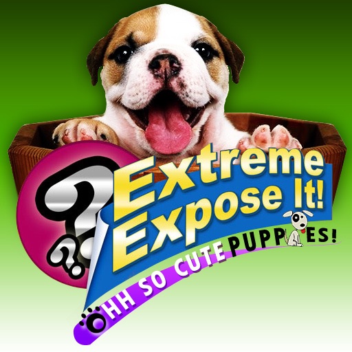 Extreme Expose It! Ohhh sooo CUTE Puppies! iOS App