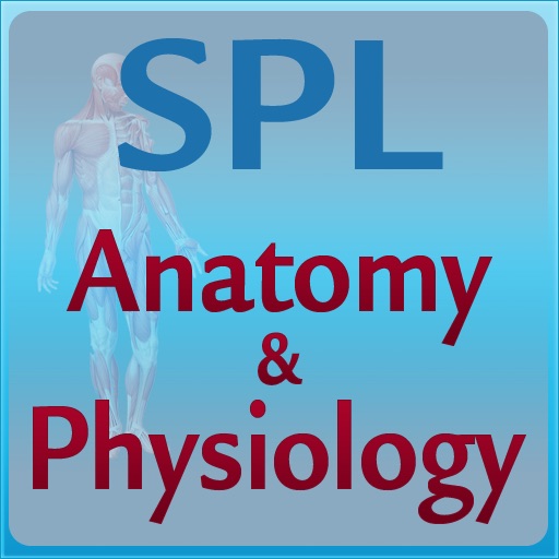Anatomy & Physiology Flash Cards iOS App