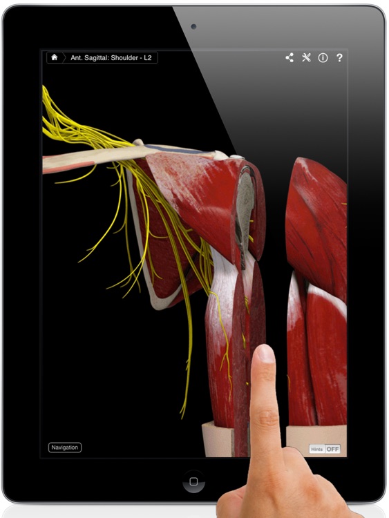 Shoulder Pro III for iPad screenshot-0