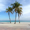 Hollywood Florida Travel Guide