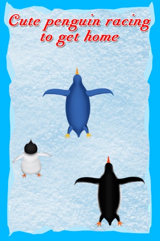 Penguin Glide Racing : The North Pole Cold Winter Race - Free Edition screenshot 2