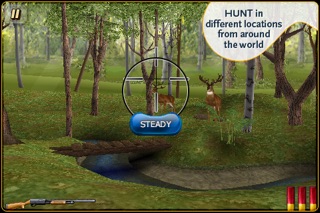 Deer Hunter 3D screenshot1