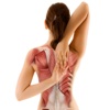 Healthy Back - Neck & Upper Back