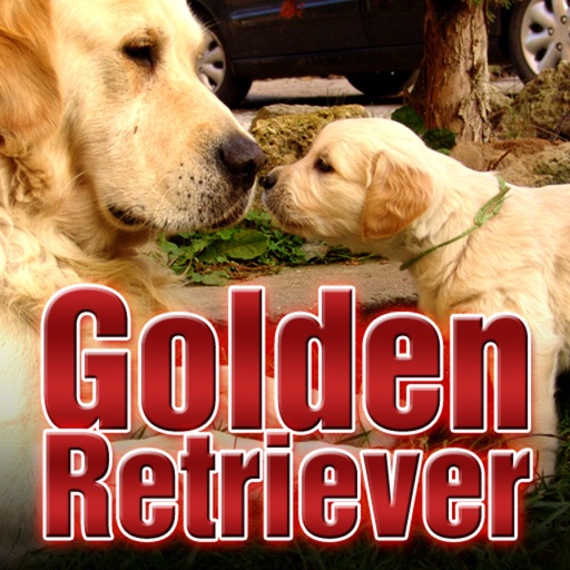 Golden Retriever Wallpapers icon