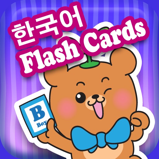 Dr Kids DIY Flash Cards - Korean 한국어