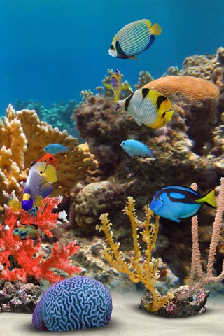 MyReef 3D Aquarium 2 HD screenshot 4