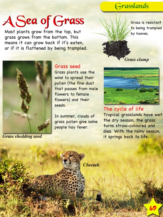 Animal & Nature Encyclopedia To Go screenshot-3