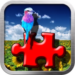 Flickr Photo Viewer And Puzzle Maker
