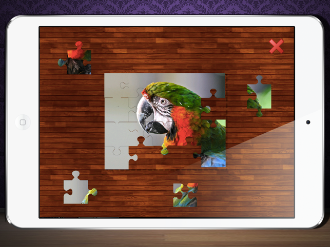 Flickr Photo Viewer And Puzzle Maker(圖3)-速報App