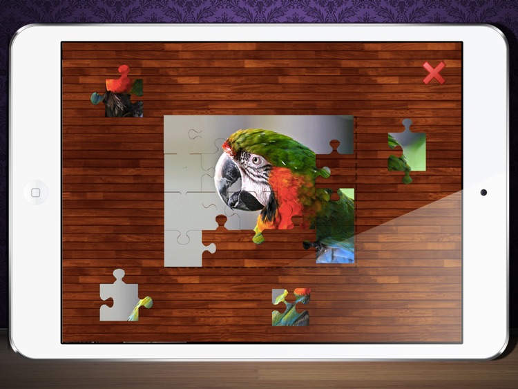 Flickr Photo Viewer And Puzzle Maker