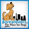 Barkefellers The Place for Dogs