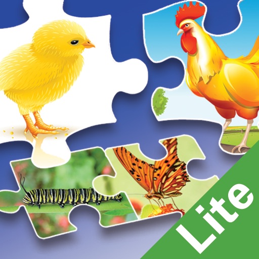 Associations for Kids Lite Icon