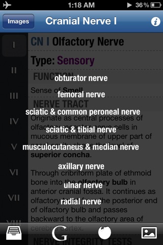 Cranial Nerves ~ Pocket Clinical Resource screenshot 3