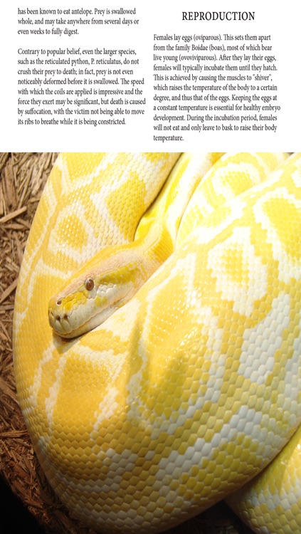 Snakes Magazine screenshot-3