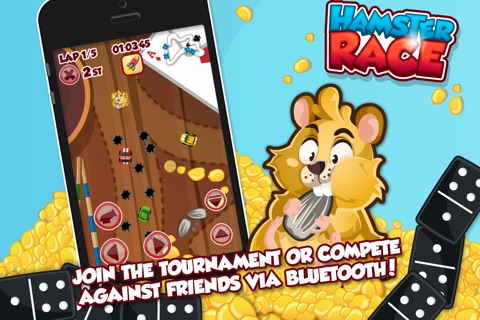 Hamster Race HD screenshot 2