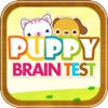 펫 뇌구조 테스트 Lite Version - PUPPY Brain Test