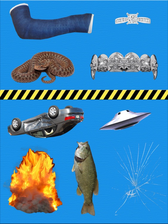 Insert Picture Prank Lite - for iPad screenshot-4