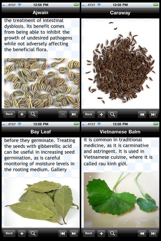 Culinary Herbs & Spices Encyclopedia screenshot 2