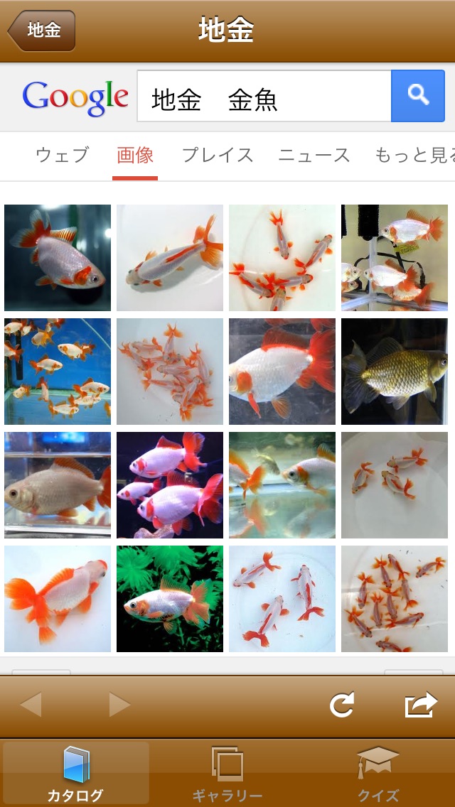 日本金魚図鑑 -Japanese goldfish-のおすすめ画像4