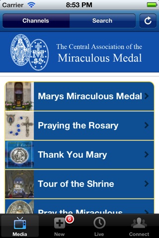 Miraculous Medal screenshot 2