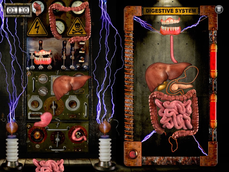 Dr. Frankenstein's Body Lab