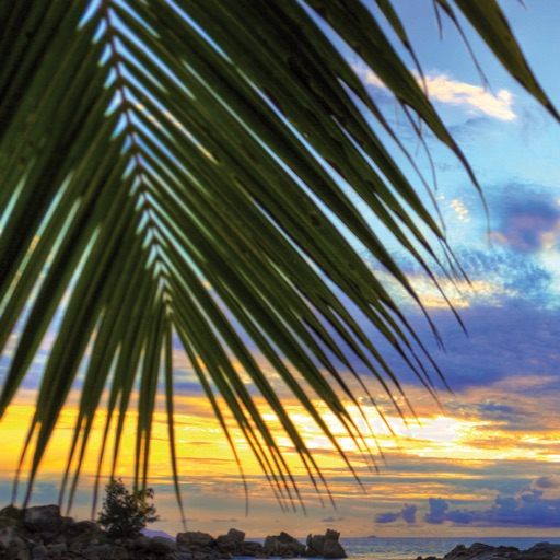 Reggae Music Radio