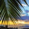 Listen a selective list of Reggae Music from all the world with a very easy interface