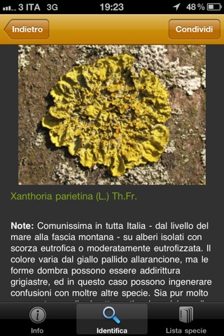 Alla scoperta dei licheni nel Parco Nazionale delle Foreste Casentinesi screenshot 3