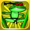 Ninja Frog, The Journey - PRO