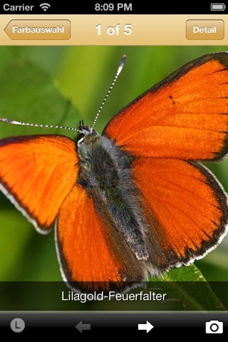 ButterfliesLite screenshot 2