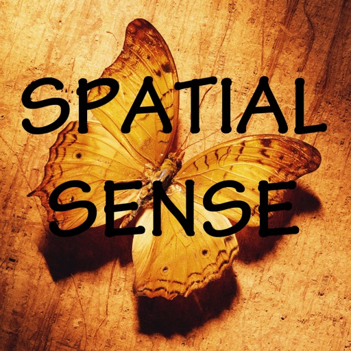 SpatialSense icon