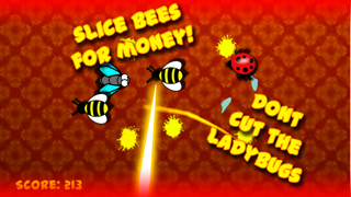 How to cancel & delete Super Bug Killer : Fly Slice - by Cobalt Play Games from iphone & ipad 3