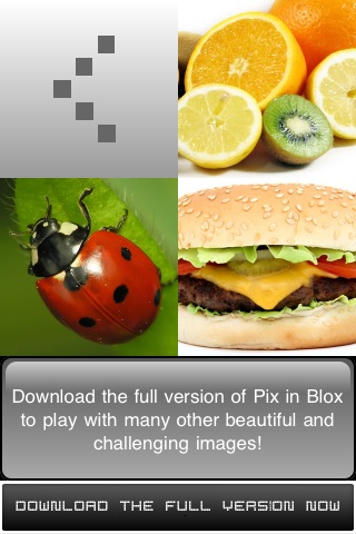 Pix in Blox Lite screenshot 2