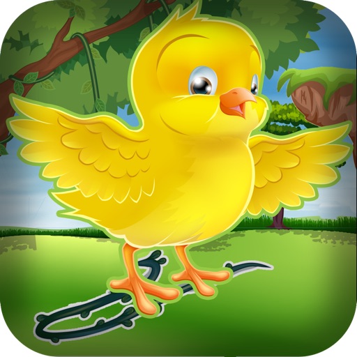 Bird Egg Drop Line Swipe Craft Puzzle Free iOS App