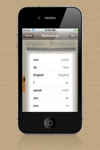 Vocabulary Trainer: English - Romanian screenshot 4