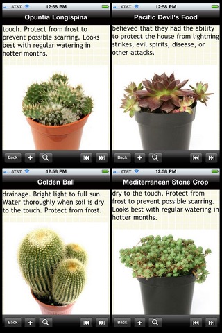 Cactus Plant Encyclopedia screenshot 2