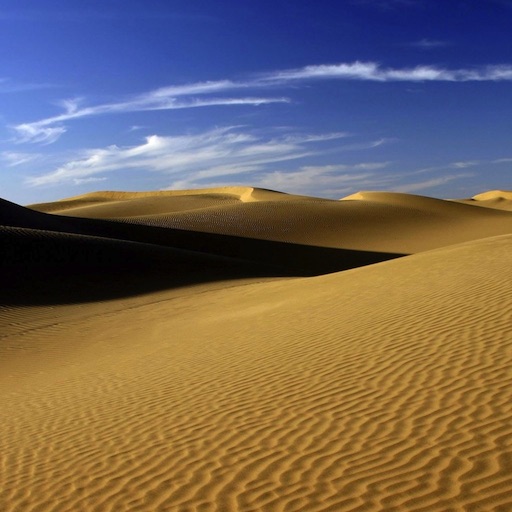 Sandy Desert