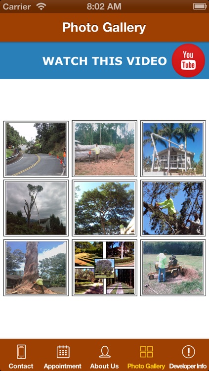Branch Out Tree Service - Maui Hawaii - Tree Trimming, Removal and  Emergency Service screenshot-3