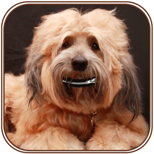 Anti Bark- Dog and Puppy Master icon
