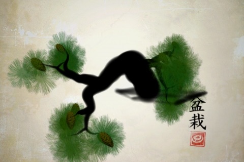 iBonsai