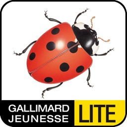 La coccinelle Lite