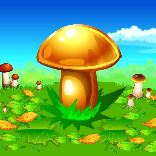 Mushroomers iOS App