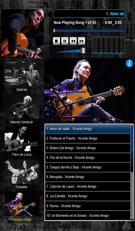 Masters of Flamenco (5 Maestros over 100 Compositions) screenshot-4