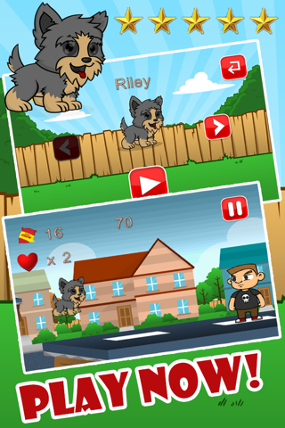 Yorkie Pup Fun Run screenshot 4